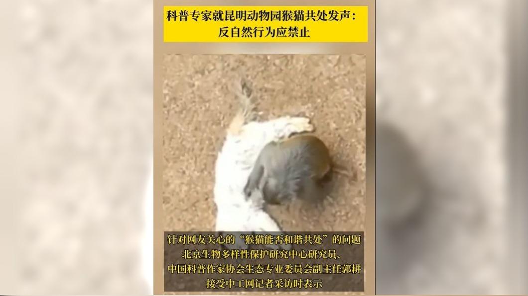 圖/翻攝自 微博 中工网