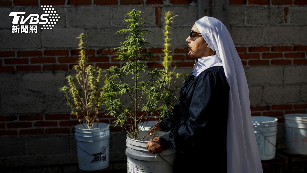 修女也瘋大麻?美墨「山谷姐妹會」種醫用大麻 年賺破千萬
