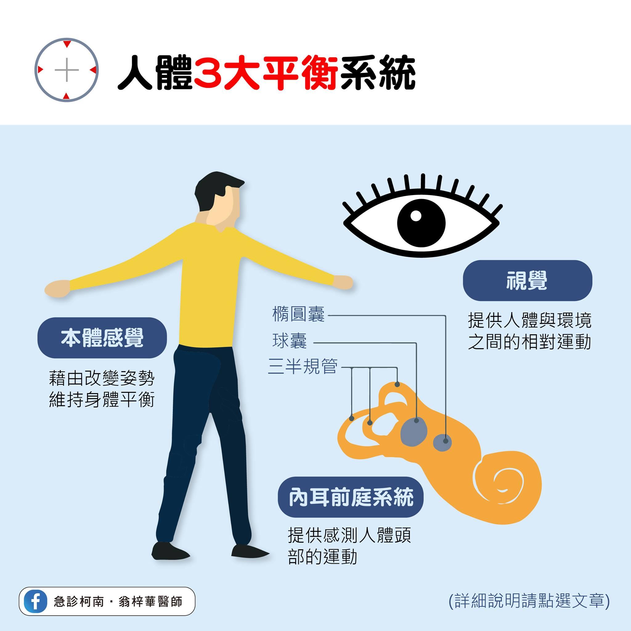 人體3大平衡系統。(圖/翻攝自臉書粉專急診柯南.翁梓華醫師)