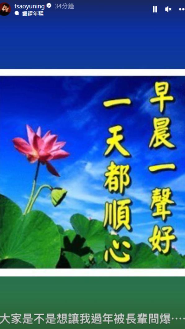 曹佑寧對被傳結婚感到無語。（圖／翻攝自tsaoyuning IG）