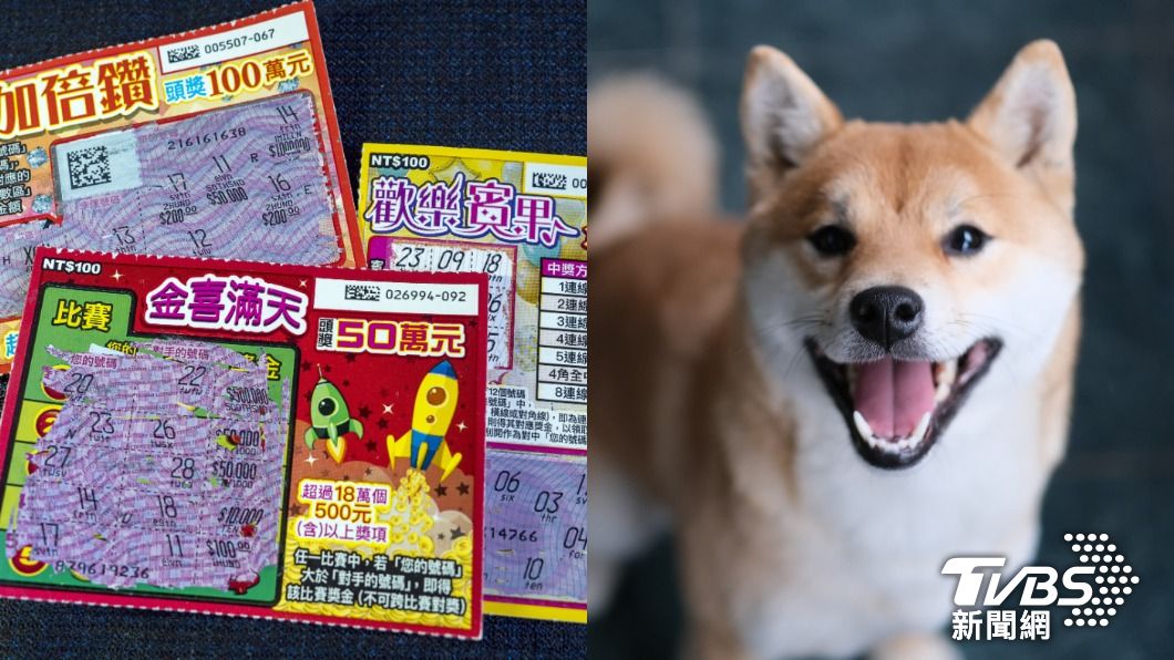 柴犬真帶「財」?店狗汪9聲 幸運兒秒選9號中百萬大獎