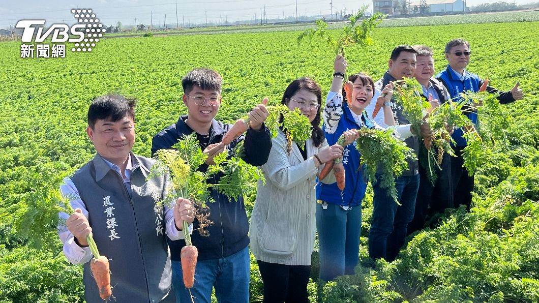 萬人拔蘿蔔活動將於3月2日登場。(圖/陳祁 攝)