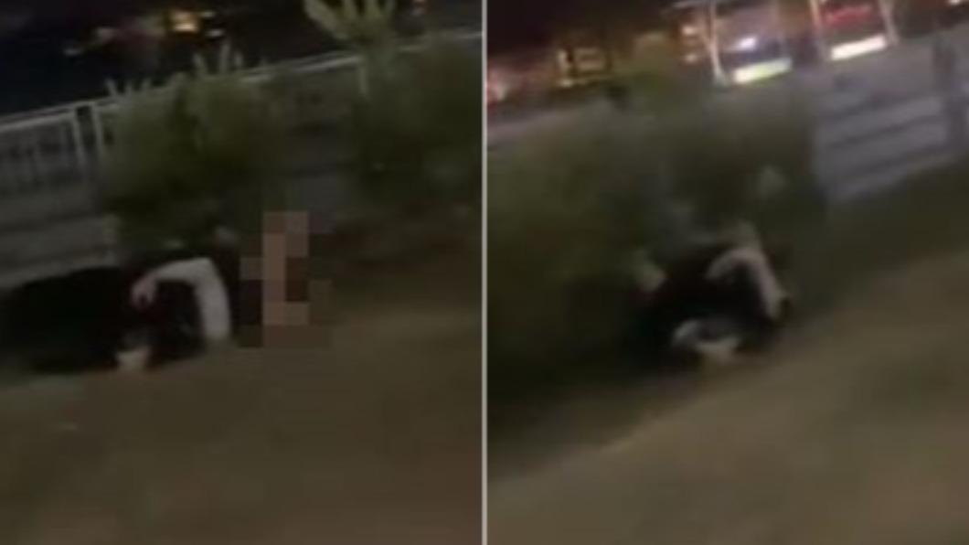 台中驚現四腳獸!公園「男女混戰」上下疊 驚人片瘋傳