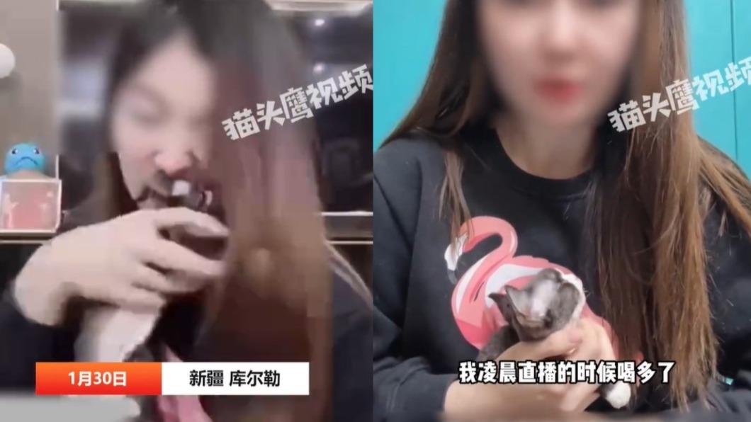 直播「抓貓瘋啃」狠咬碎頭骨!陸網紅淡定喊:喝醉才失控