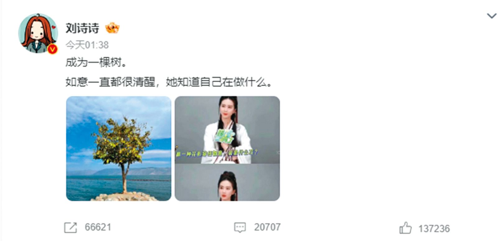 婚變疑雲當頭,劉詩詩在微博的發言引來各種正負揣測。(圖/翻攝自劉詩詩微博)