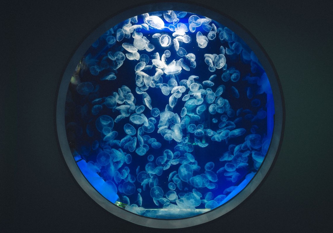 Xpark新春期間正常營運,攜手日本藝術家西村麻里舉辦主題畫展,展期至2月底為止,快趁連假衝一波吧。(圖/Xpark臉書)