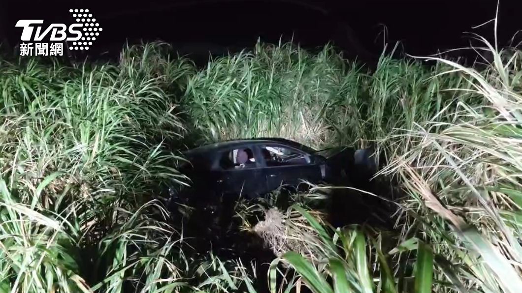 只是想吃肉粽!桃園女開車衝破護欄墜山坡 芒草竟救3人性命