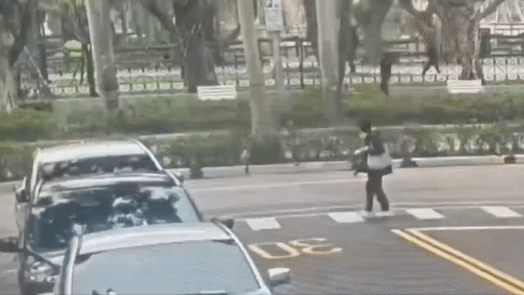 路樹突然傾倒砸中阿嬤。(圖/TVBS)