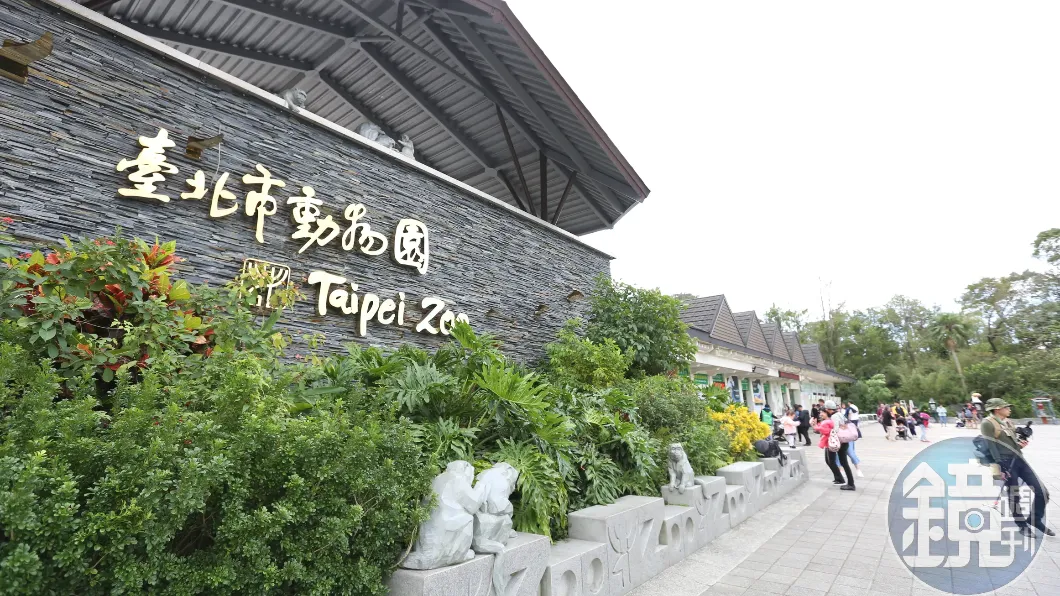27年首漲!北市動物園4月起「門票最高百元」 年收入估增5千萬