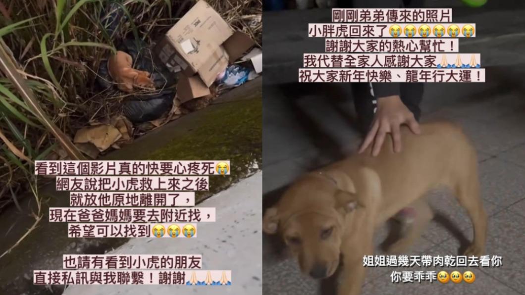 林佩瑤在好心網友協助下,終於找回愛犬小虎。(圖/翻攝自林佩瑤IG)