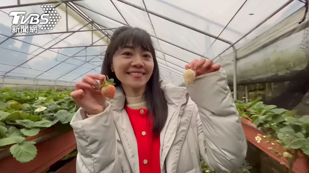 高嘉瑜。(圖/TVBS資料照)