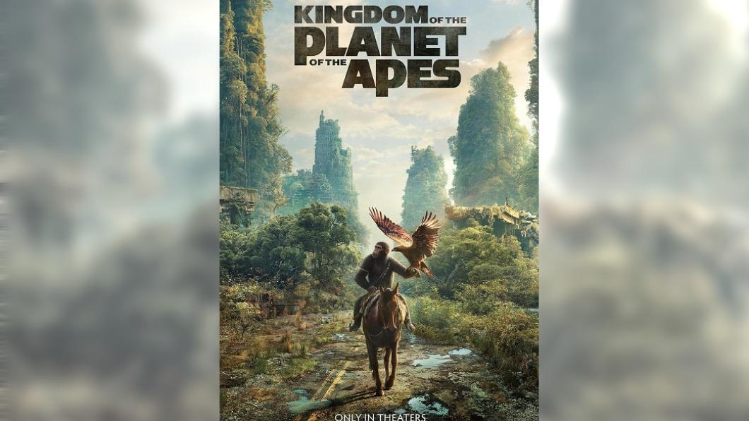 圖/翻攝自 IMDb
