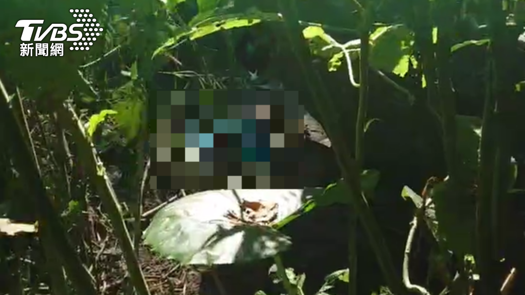 阿嬤被尋獲時已成冰冷遺體。(圖/TVBS)