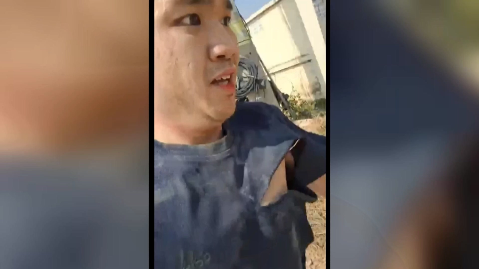 圖/翻攝自 晚安小雞 臉書