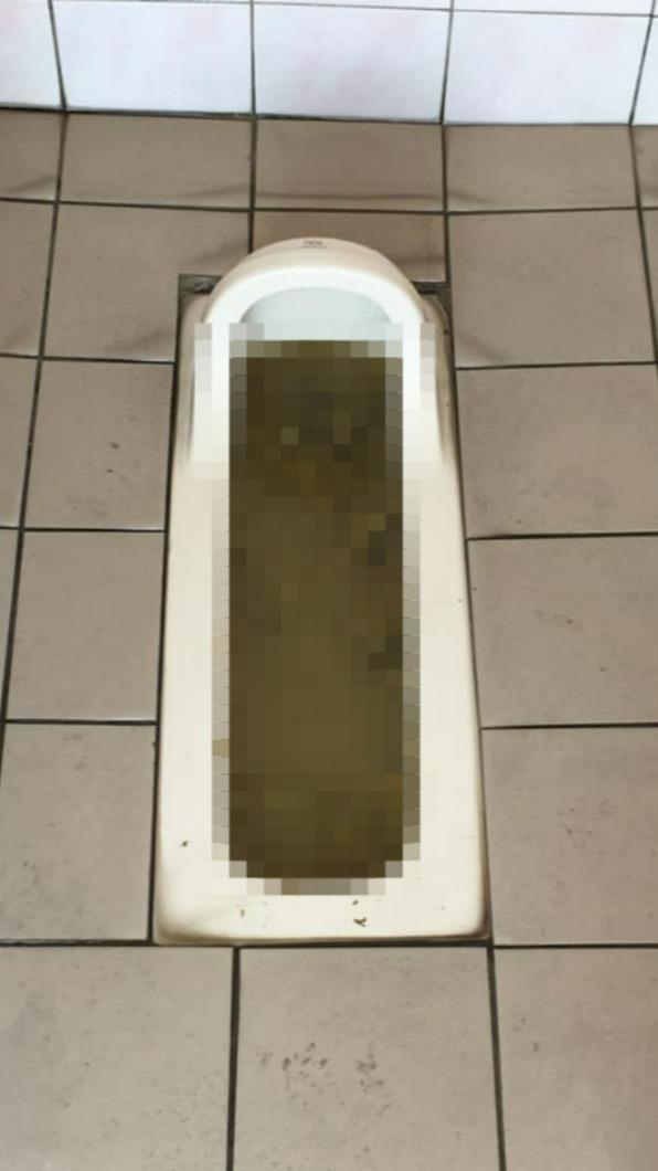 馬桶被排泄物堵住,且原PO透露,這已經是通過後的樣子。(圖/翻攝自爆廢公社臉書)