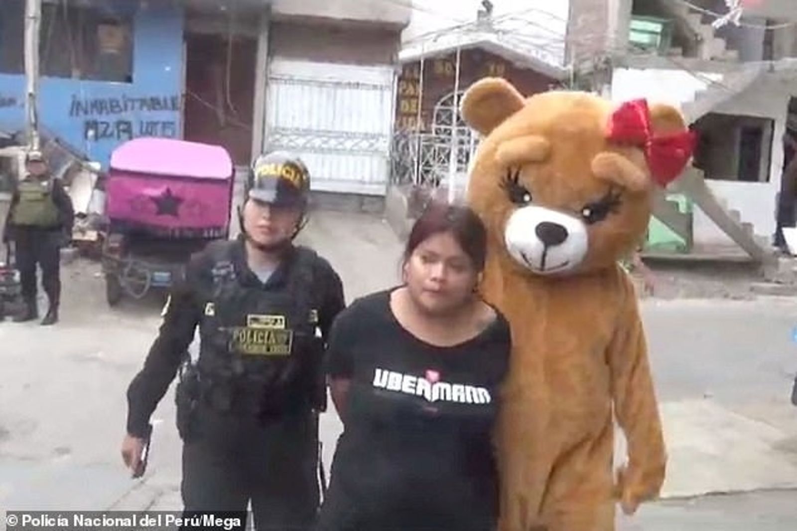 熊特警逮捕了女藥頭。(圖/翻攝自《每日郵報》)