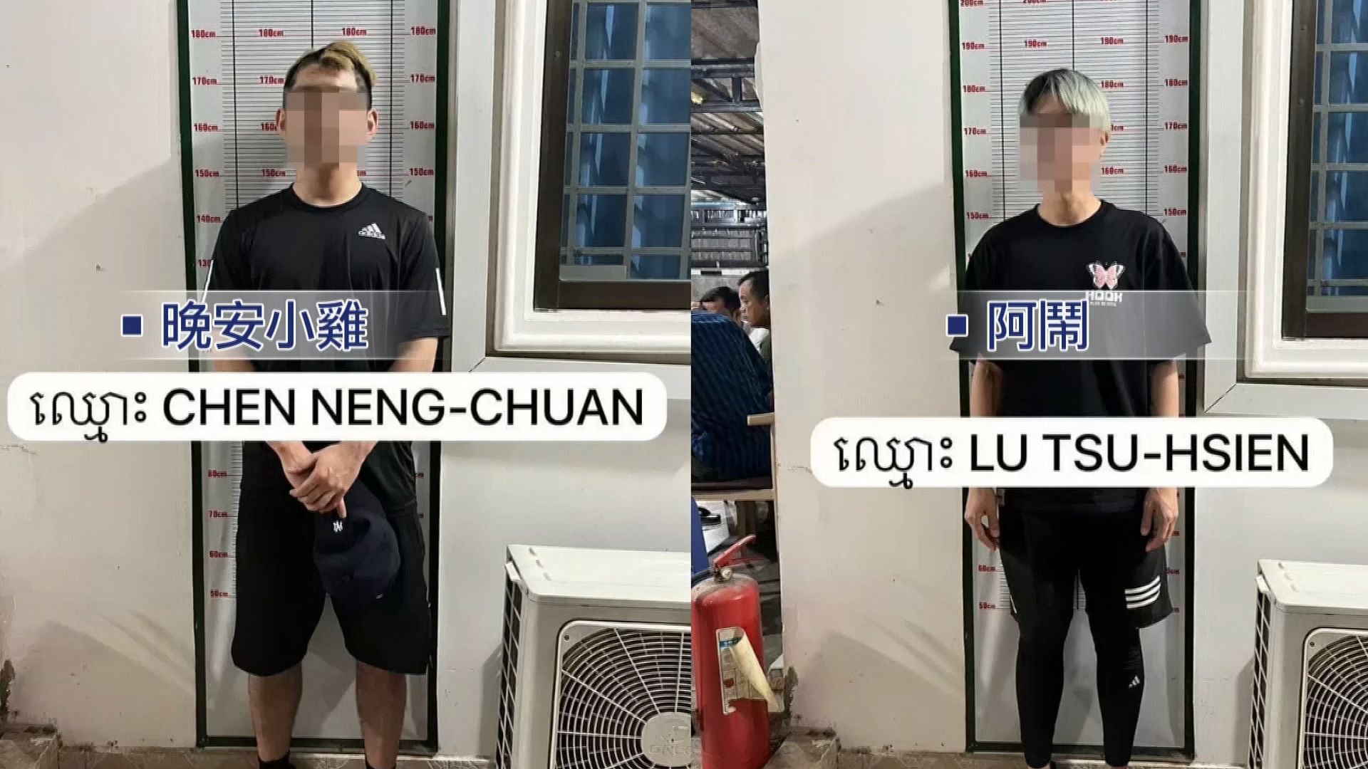 晚安小雞慘況曝!每天吃蟲+木薯 監舍「150人用1馬桶」