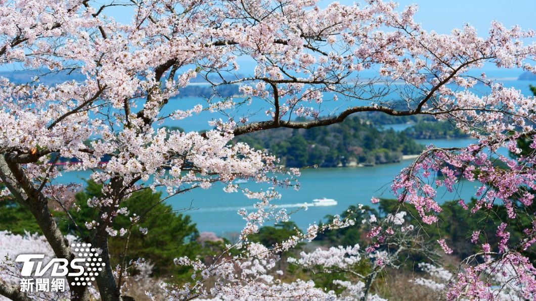 日本哪些景點過譽?網狂點這地「浪費時間」:像菜市場、超無聊