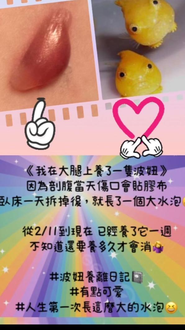熊熊形容水泡是波妞。(圖/翻攝自熊熊IG)