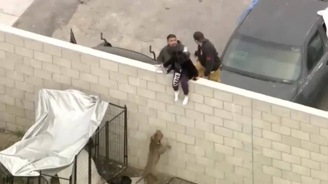 監視錄影畫面拍攝到當天員警幫助一名女子從比特犬群中逃離的畫面。(圖/翻攝自thesunnews)