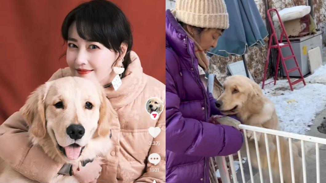 周海媚離世「愛犬無人顧」 陸女星第一時間收養:希望她放心