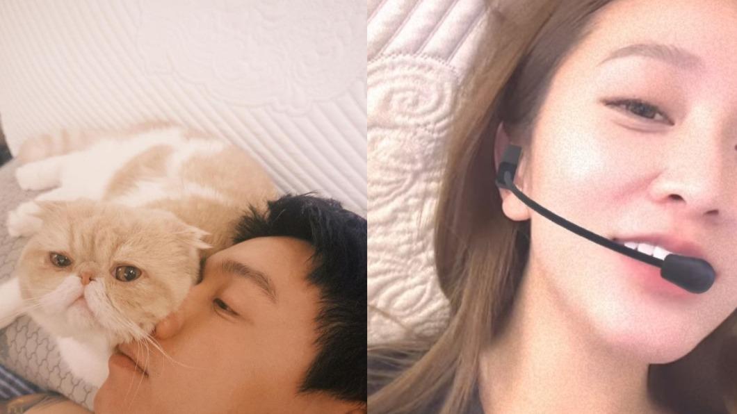 眼尖粉絲從兩人的枕頭花紋發現貓膩。(合成圖/翻攝自@toyzlol、@hsyan0625 IG)