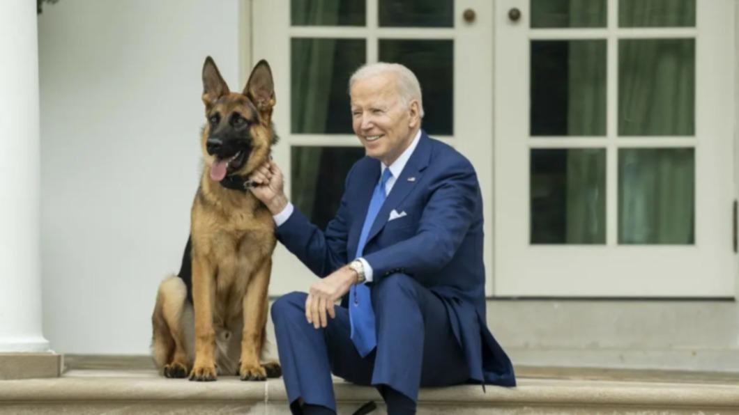 咬傷人至少24次! 拜登愛犬「司令」被逐出白宮