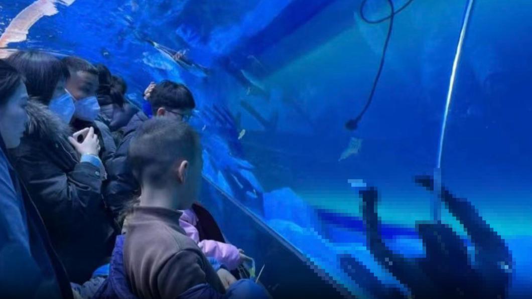 陸海生館「潛水員水底溺斃」 圍觀民眾嚇傻:以為是假人