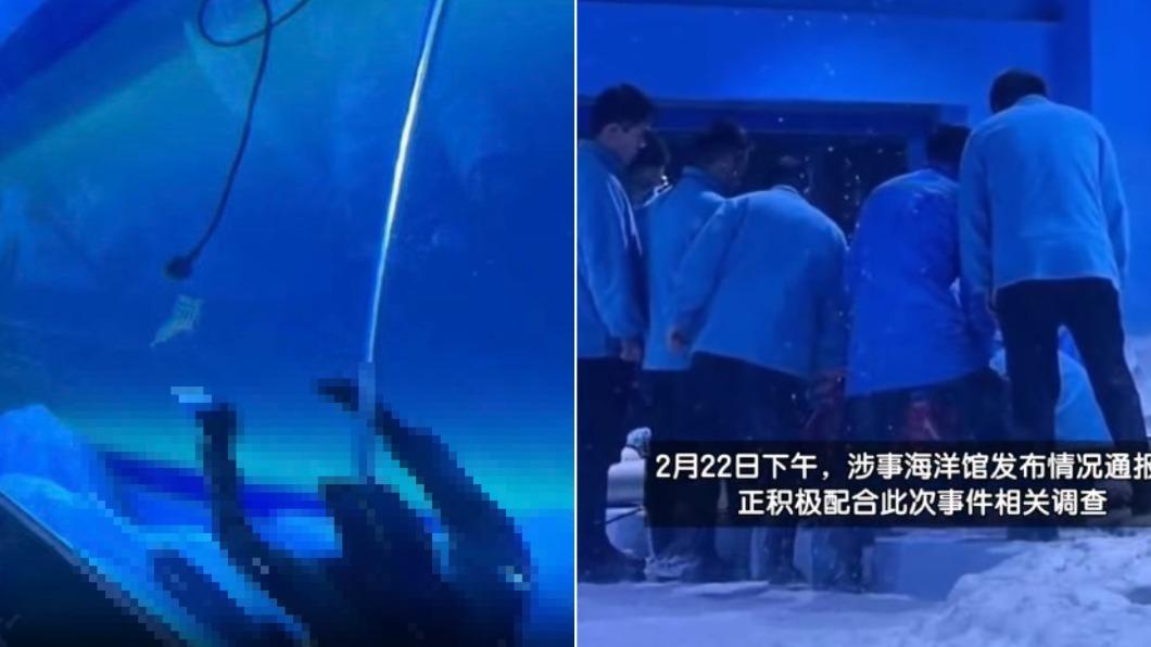 海生館的工作人員等到10幾分鐘後才上前救援。(圖/翻攝自揚子晚報)