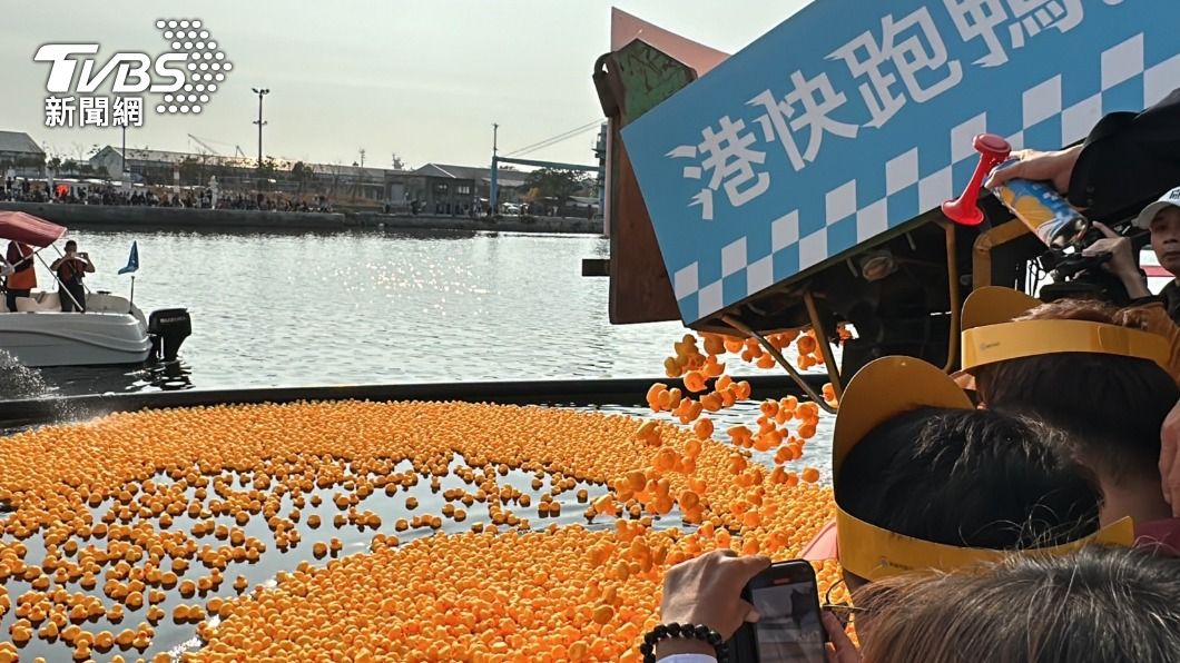 1.5萬隻小鴨落水!卡車直傾而下「送別小鴨」超壯觀畫面曝光
