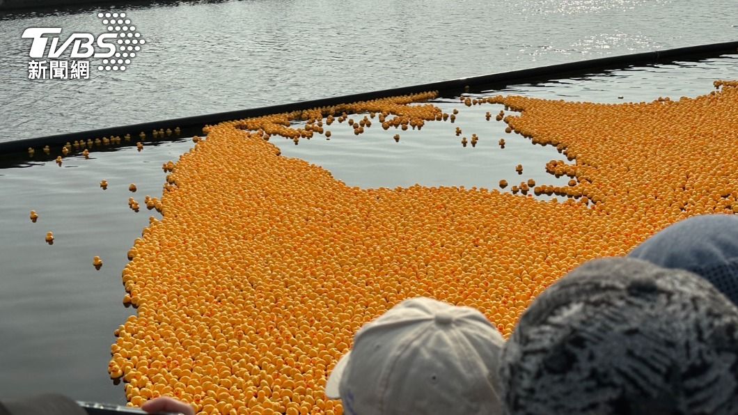 水域賽道裡有滿滿的小鴨隨波漂流,場面壯觀療癒。(圖/陳佳宜攝)
