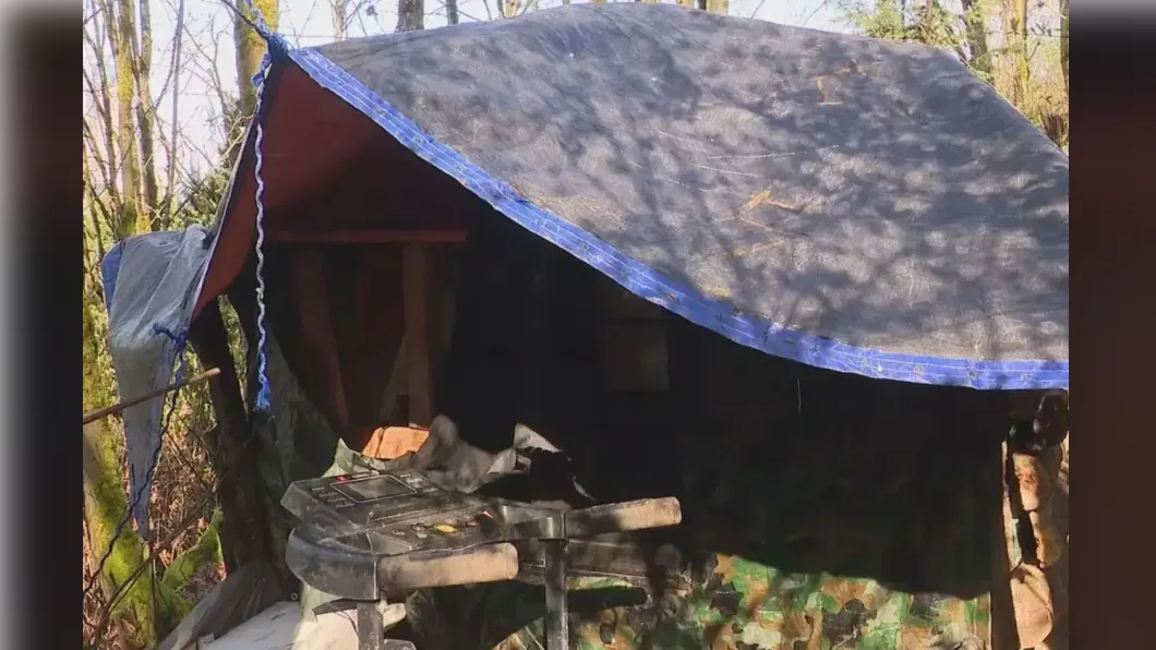 歐文異想天開能在公園裡挖到金礦，竟直接偷挖土機開挖。（圖／翻攝自紐約郵報）