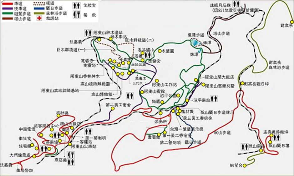阿里山步道圖。(圖/阿里山聯合旅遊網)