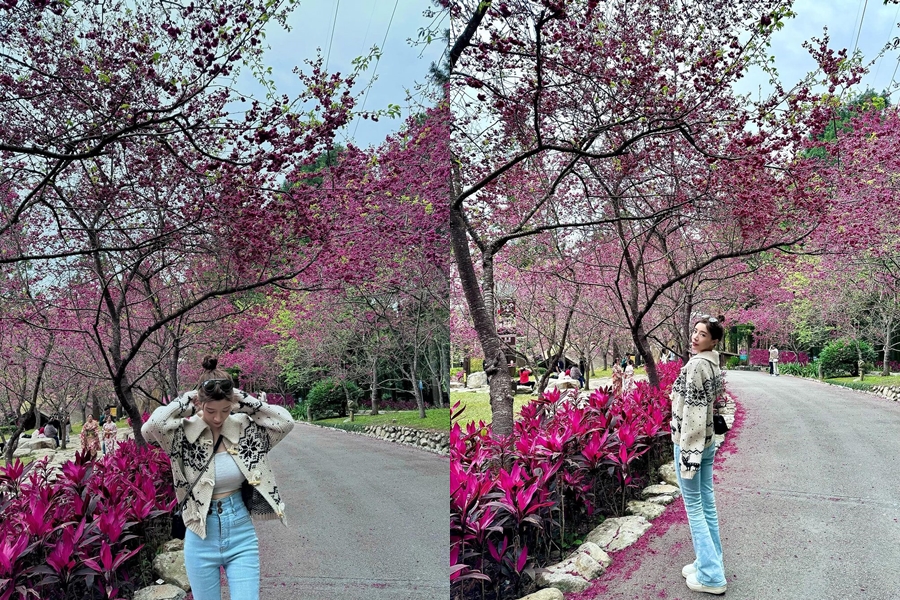 艾融表示,如願以償看到櫻花。(圖/翻攝自艾融IG)
