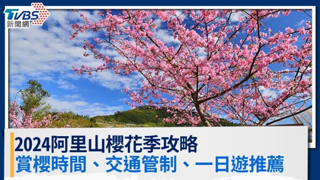 【2024阿里山櫻花季】賞櫻時間、交通管制、一日遊推薦