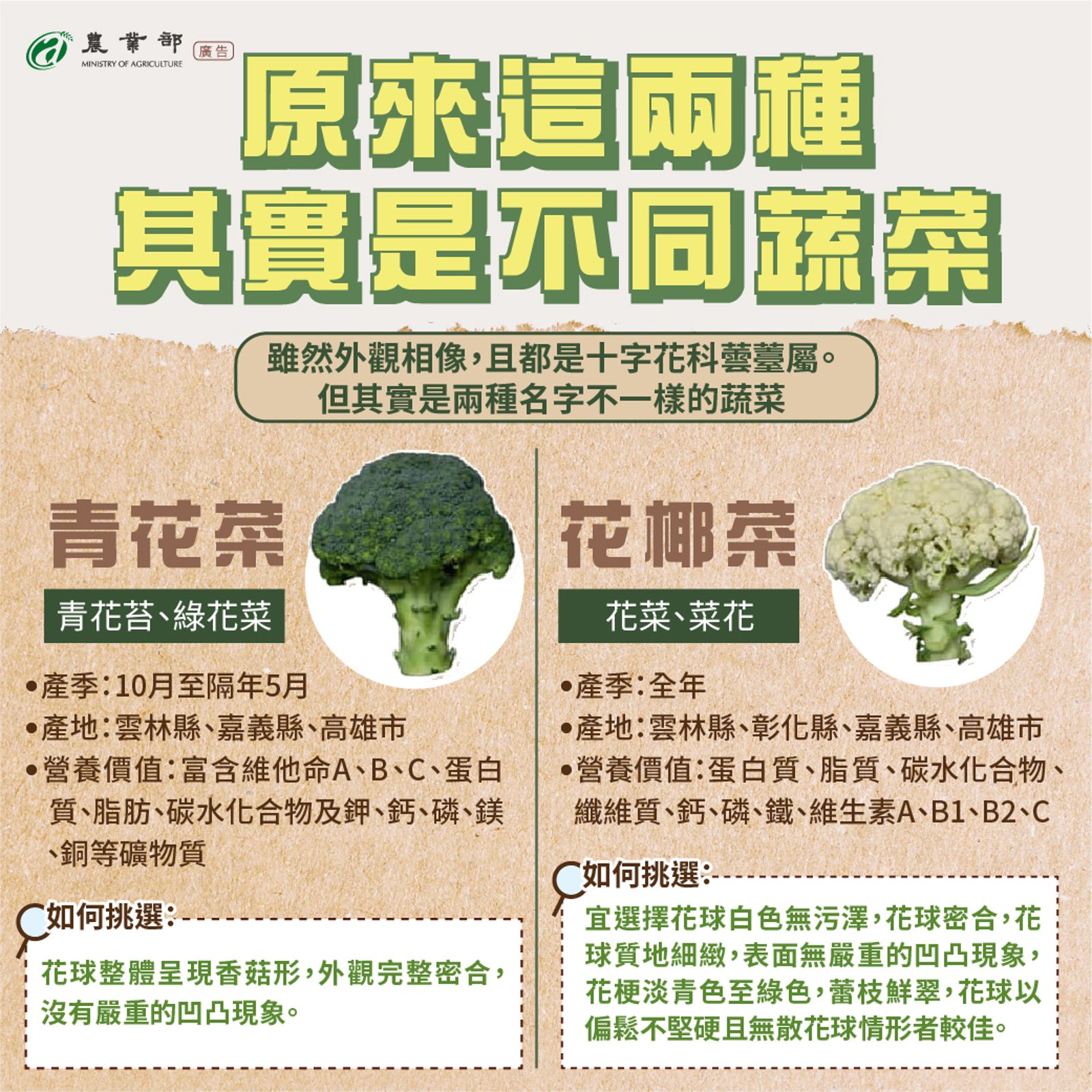 農業部就說明花椰菜、青花菜的差異。(圖/翻攝自農業部臉書)