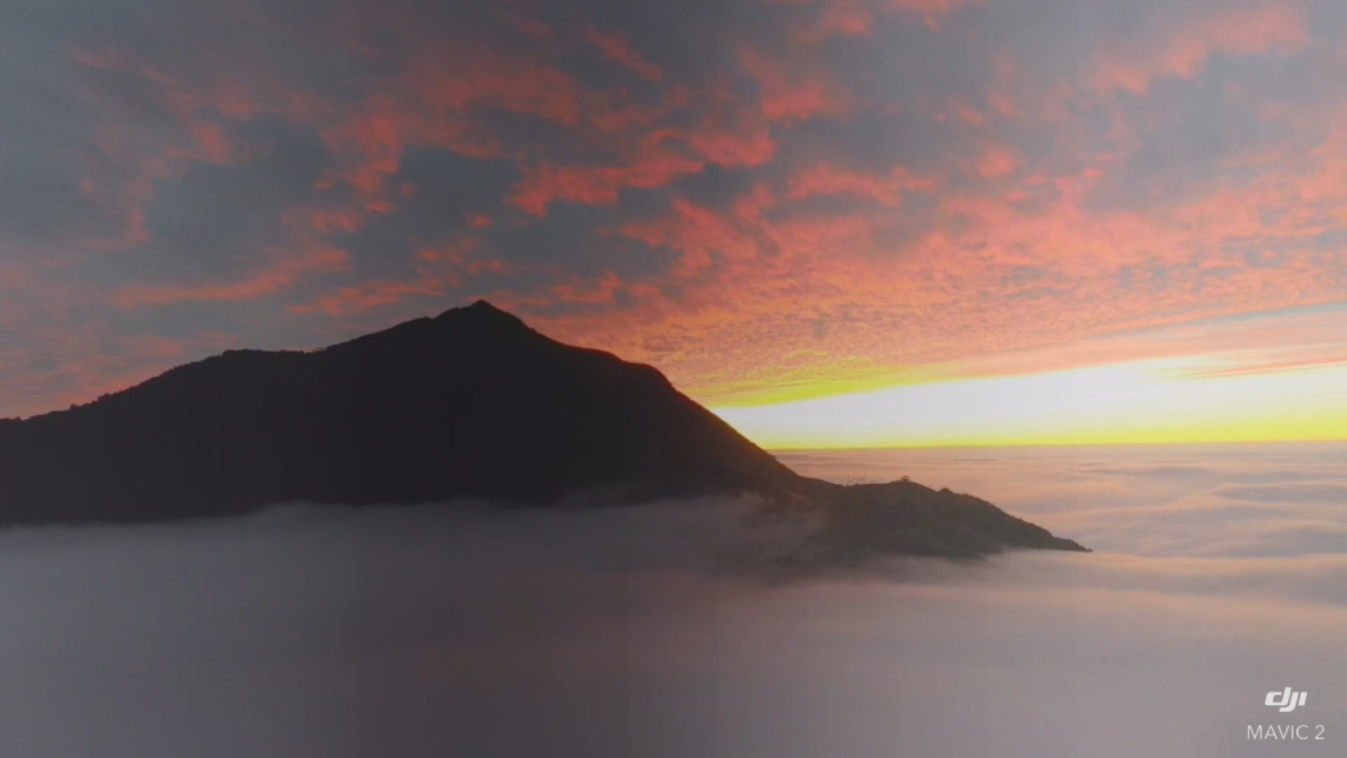 圖/畫面提供 吳鴻森