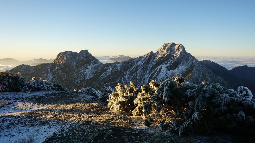 圖輯/玉山真「降三月雪」深度達1公分 雪白世界美照曝光了