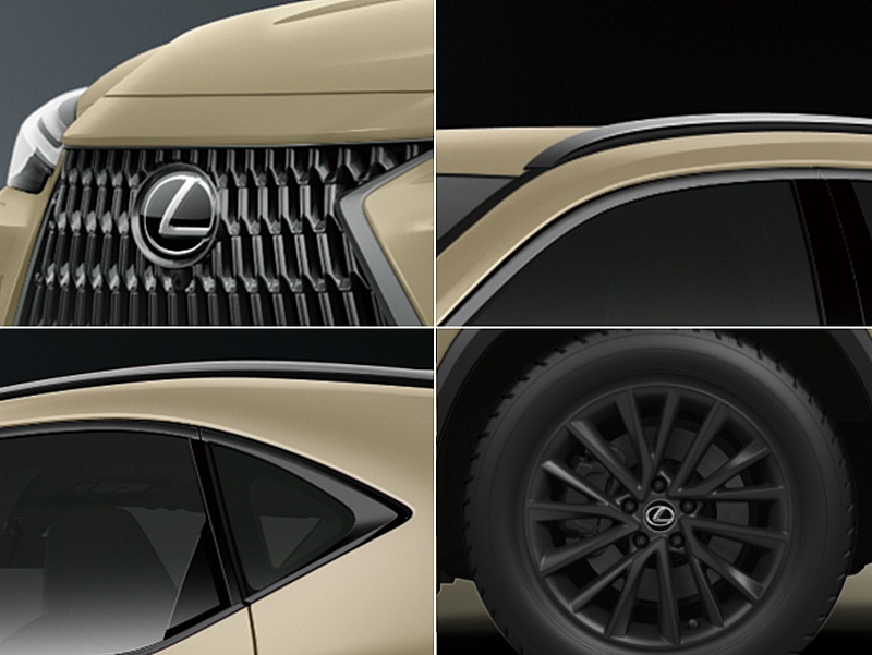 NX的Overtail外觀大量導入黑化套件。(圖/Lexus提供)