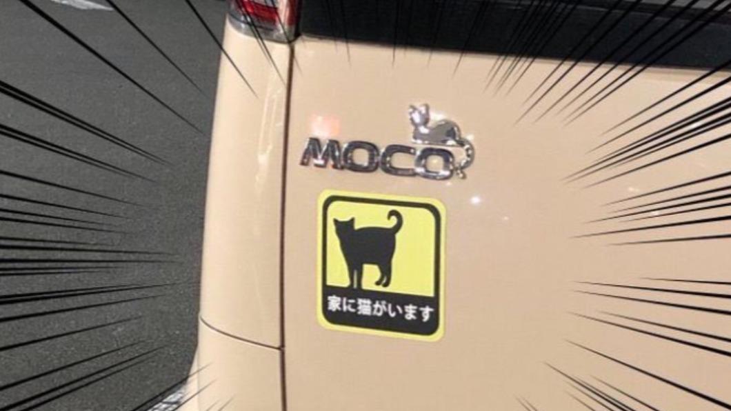 貓奴炫耀?車尾提醒「家裡有貓」 內行曝真正用途:能救命