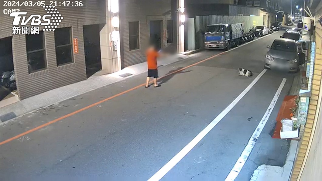報復、好玩?男拿槍射狗 連開多發還錄影