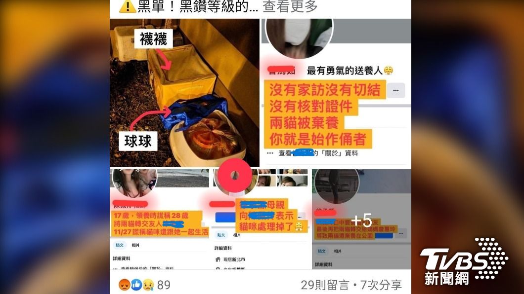 動保志工一路追蹤遭棄養貓咪10個月來的遭遇,提醒愛牠就不要棄養。(圖/沈姓動保志工 提供)