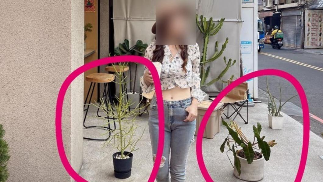 女網美「移盆栽」拍照遭指責!火大公審咖啡廳 慘被炎上