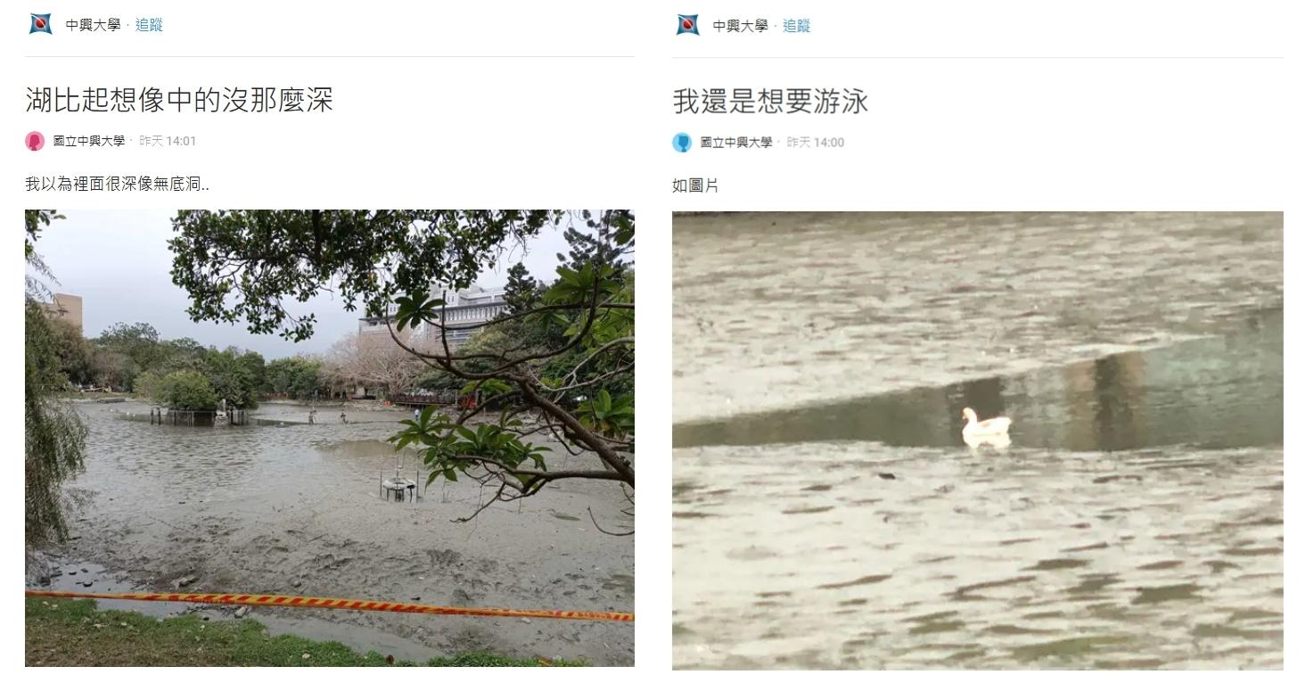 這幾天陸續有中興大學學生發現中興湖被抽乾。(圖/翻攝自Dcard)