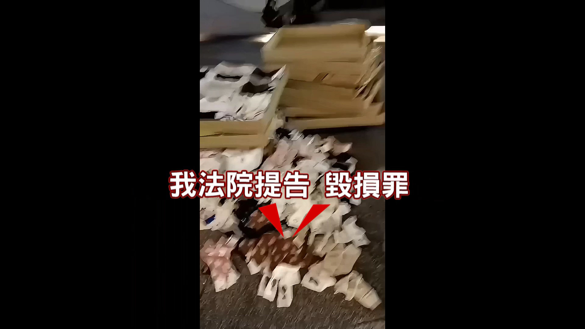圖／翻攝自社會事新聞影音