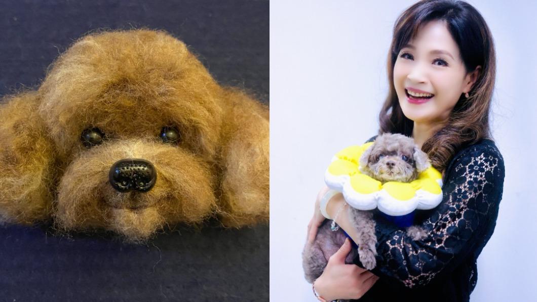 方季惟自從痛失愛犬後,透過學習羊毛氈來還原愛犬的模樣。(圖/尚時代文創娛樂提供)