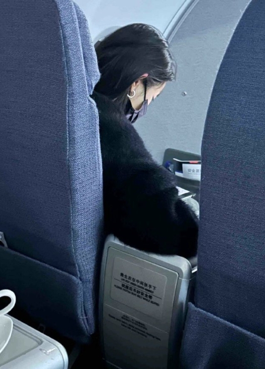 網友捕捉到楊冪在飛機上看小說、漫畫的畫面。(圖/翻攝自微博)