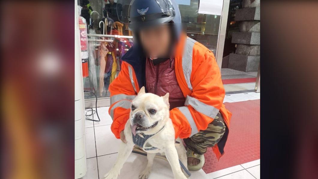 最後飼主在員警連繫後,趕到派出所將迷途的「法鬥」帶回家中。(圖/基隆市警察局提供)