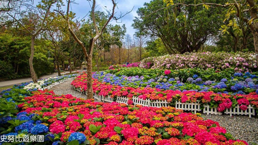 「台北杜鵑花季」3月起在大安森林公園登場。(圖/史努比遊樂園提供)
