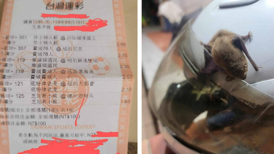 福氣飛來!屏東男騎車撞上蝙蝠 放生後簽運彩幸運中1萬4